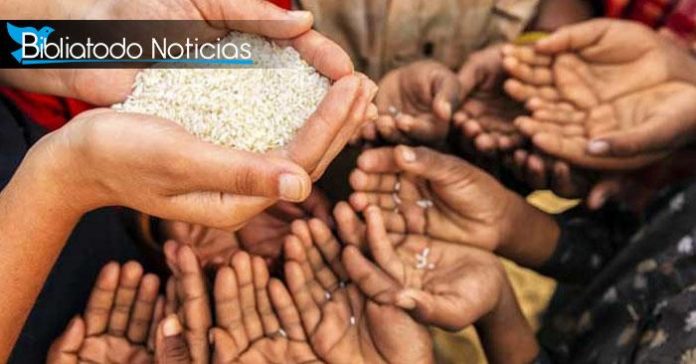 ONU advierte de hambruna mundial de «proporciones bíblicas» por la pandemia